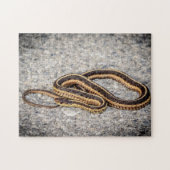 Eastern Ribbon Snake (Garter Snake) Puzzle (Horizontal)