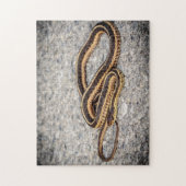 Eastern Ribbon Snake (Garter Snake) Puzzle (Vertikal)