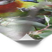 Eastern Rosella essen glücklich Fotodruck (Ecke)