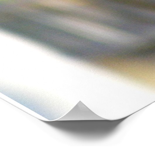 Eastern Rosella Parakeet Poster (Ecke)