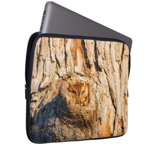 Eastern Screech-Owl Laptopschutzhülle (Vorne Rechts)