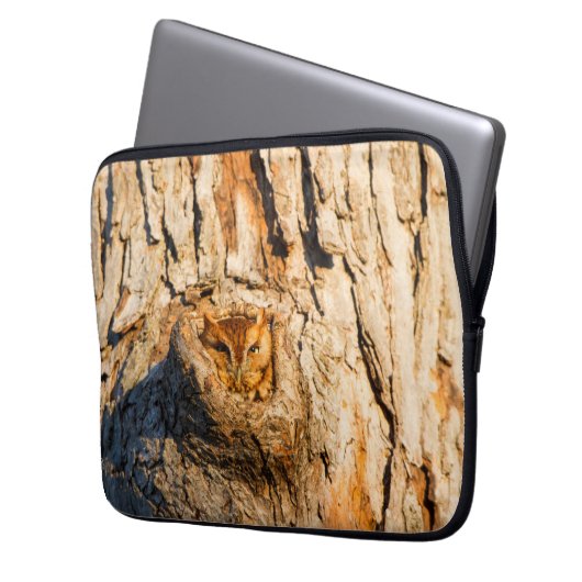 Eastern Screech-Owl Laptopschutzhülle (Vorderseite Links)