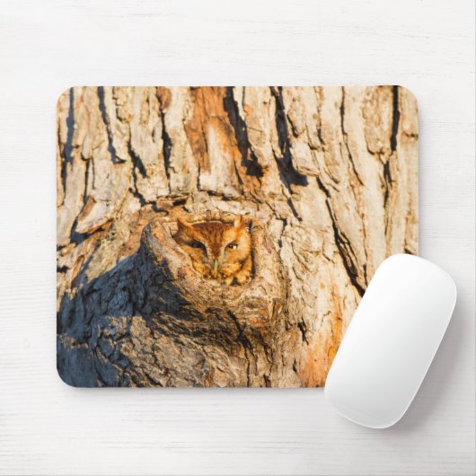 Eastern Screech-Owl Mousepad (Mit Mouse)