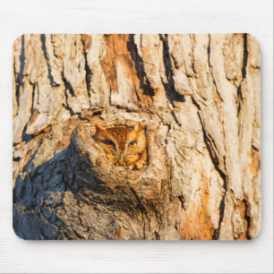 Eastern Screech-Owl Mousepad