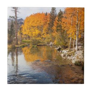 Eastern Sierra, Bishop Creek, Kalifornien Auslass Fliese