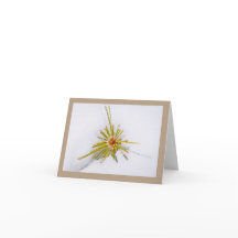 Eastern Sierra Snapshots - Mitteilungskarten