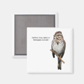 Eastern Song Sparrow Magnet (Vorderseite/Rückseite)