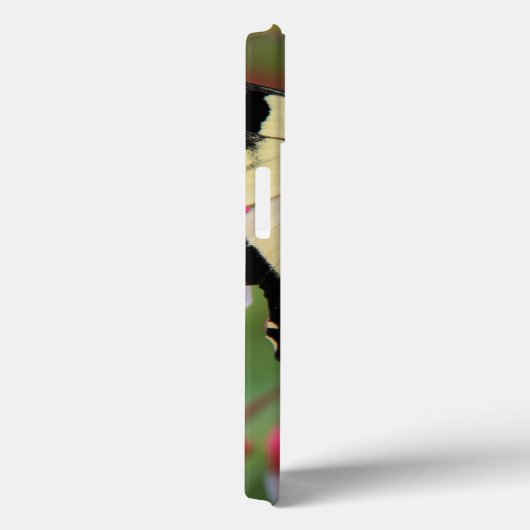 Eastern Swallowtail Case-Mate iPhone Hülle (Rückseite / Rechts)