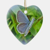 Eastern Tails Blue Butterfly Weihnachtsschmuck (Rechts)