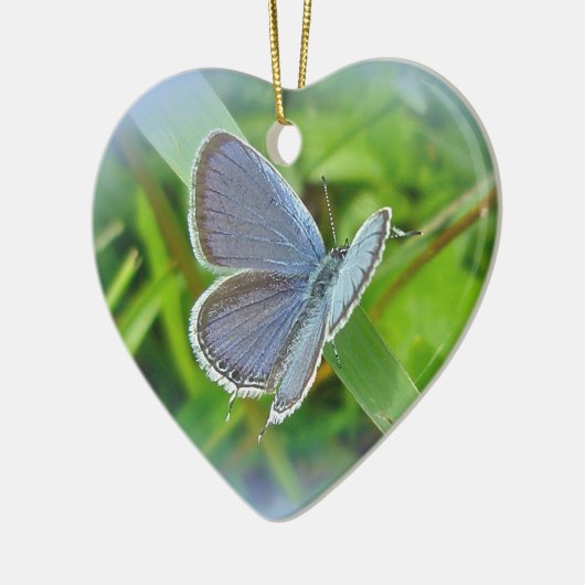 Eastern Tails Blue Butterfly Weihnachtsschmuck (Links)