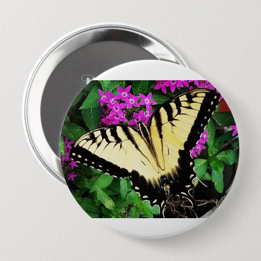 Eastern Tiger Frack Butterfly #1 Button (Vorne & Hinten)