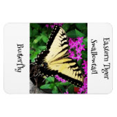 Eastern Tiger Frack Butterfly #1 Magnet (Horizontal)