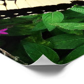 Eastern Tiger Frack Butterfly #1 Poster (Ecke)