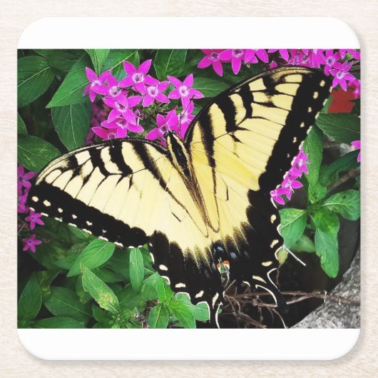 Eastern Tiger Frack Butterfly #1 Rechteckiger Pappuntersetzer (Vorderseite)