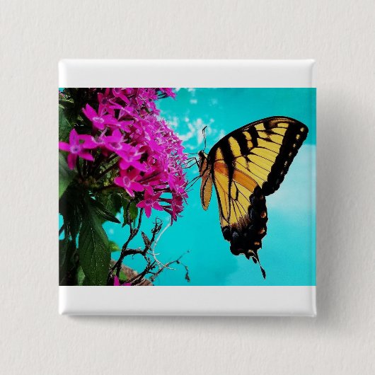 Eastern Tiger Frack Butterfly #2 Button (Vorderseite)