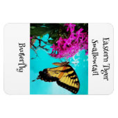 Eastern Tiger Frack Butterfly #2 Magnet (Horizontal)