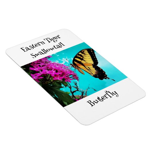 Eastern Tiger Frack Butterfly #2 Magnet (Rechte Seite)