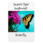 Eastern Tiger Frack Butterfly #2 Magnet (Vertikal)