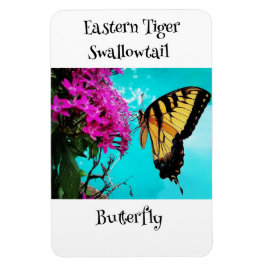 Eastern Tiger Frack Butterfly #2 Magnet