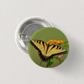 Eastern Tiger Frack Butterfly Button (Vorne & Hinten)