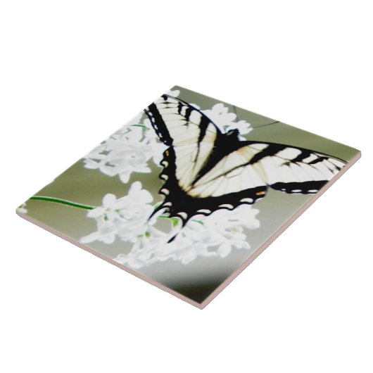 Eastern Tiger Frack Butterfly Foto Fliese (Seite)