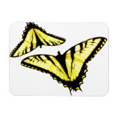 Eastern Tiger Frack Butterfly Foto Magnet (Horizontal)
