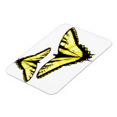 Eastern Tiger Frack Butterfly Foto Magnet (Linke Seite)