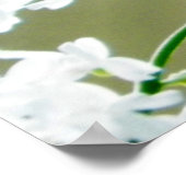 Eastern Tiger Frack Butterfly Foto Poster (Ecke)