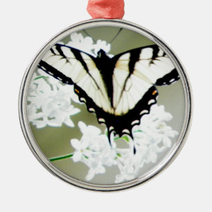 Eastern Tiger Frack Butterfly Foto Silbernes Ornament