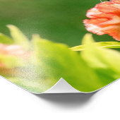 Eastern Tiger Frack Butterfly Fotodruck (Ecke)