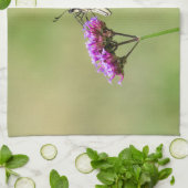 Eastern Tiger Frack Butterfly Handtuch (Gefaltet)