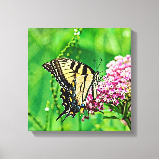 Eastern Tiger Frack Butterfly Leinwanddruck (Vorderseite)