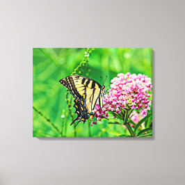 Eastern Tiger Frack Butterfly Leinwanddruck