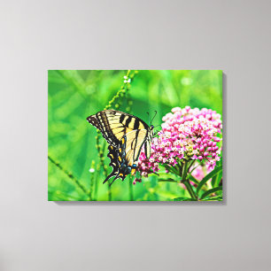 Eastern Tiger Frack Butterfly Leinwanddruck
