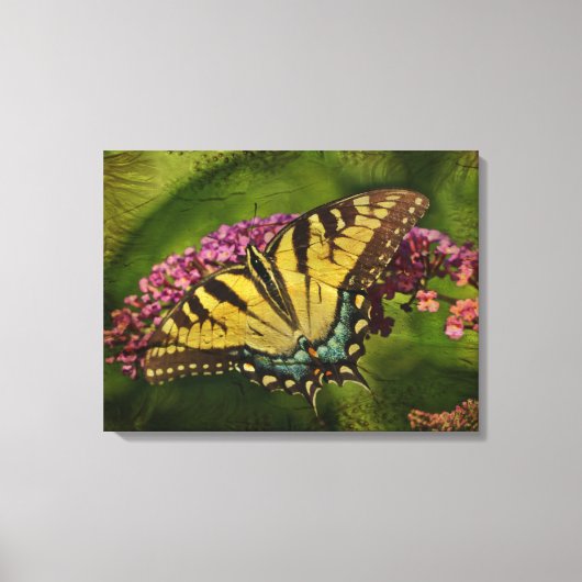 Eastern Tiger Frack Butterfly Leinwanddruck (Vorderseite)