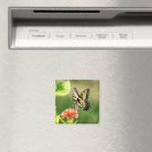 Eastern Tiger Frack Butterfly Magnet (In Situ (Geschirrspüler))