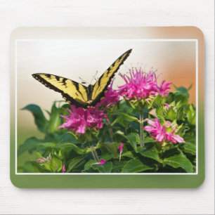 Eastern Tiger Frack Butterfly Mousepad