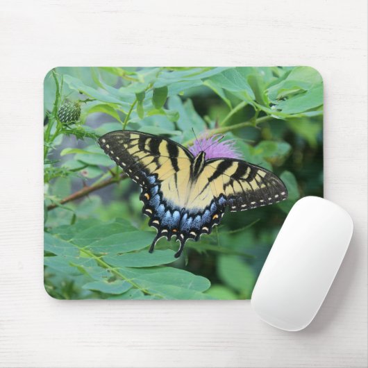 Eastern Tiger Frack Butterfly Mousepad (Mit Mouse)