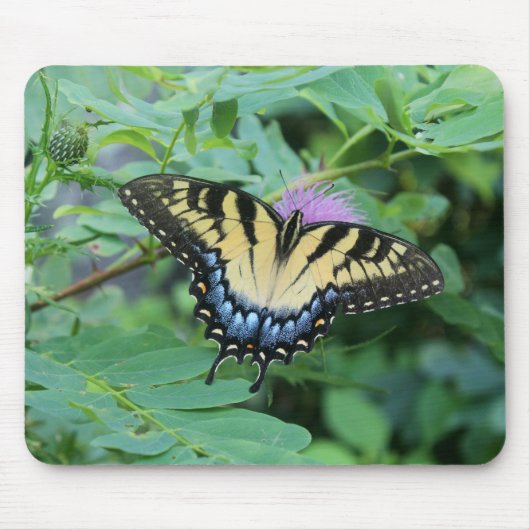 Eastern Tiger Frack Butterfly Mousepad (Vorne)