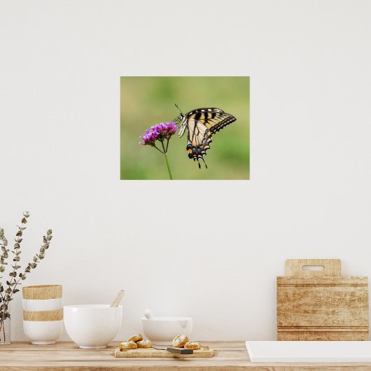 Eastern Tiger Frack Butterfly Poster (Küche)