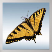 Eastern Tiger Frack Butterfly Poster (Vorne)