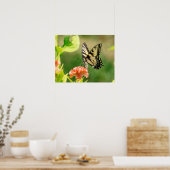Eastern Tiger Frack Butterfly Poster (Küche)