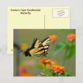 Eastern Tiger Frack Butterfly Postkarte (Vorne/Hinten)