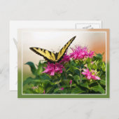 Eastern Tiger Frack Butterfly Postkarte (Vorne/Hinten)