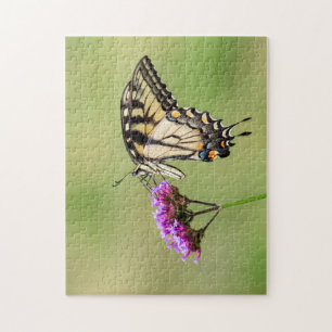 Eastern Tiger Frack Butterfly Puzzle