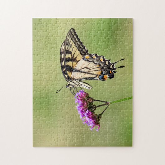 Eastern Tiger Frack Butterfly Puzzle (Vertikal)