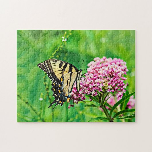 Eastern Tiger Frack Butterfly Puzzle (Horizontal)