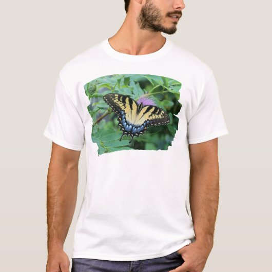Eastern Tiger Frack Butterfly T-Shirt (Vorderseite)