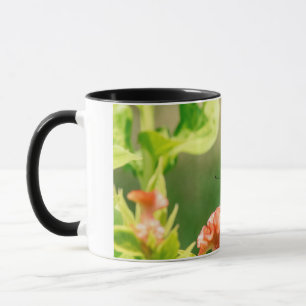 Eastern Tiger Frack Butterfly Tasse