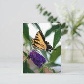 Eastern Tiger Frack Staat Butterfly Foto Postkarte (Stehend Vorderseite)